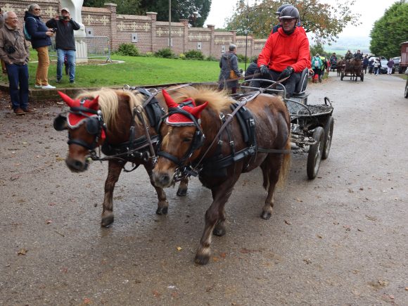 Paarden wijding