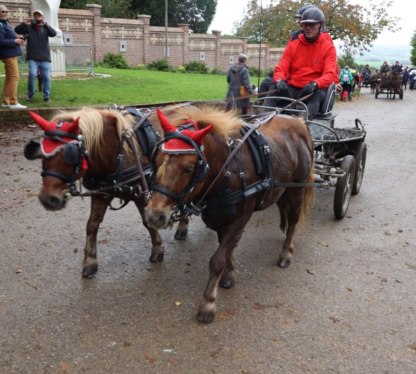 Paarden wijding